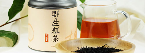 发现物与物