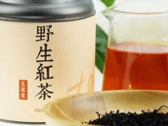 永利总站公益宣传片