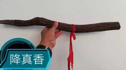 闻香品香