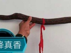 新企携手5月10-13日永利总站入口