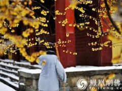 禅画画家曾醉接受媒体访谈