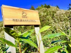 更多阅读“五叶堂”取意于禅宗“一花开