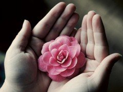 陡生烦恼.
